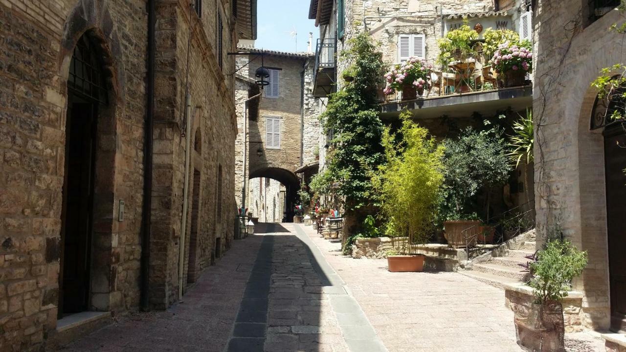 Apartment Palazzo Calocci In Assisi